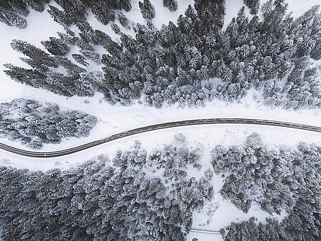 Bird eye’s view!, by Kimon Maritz