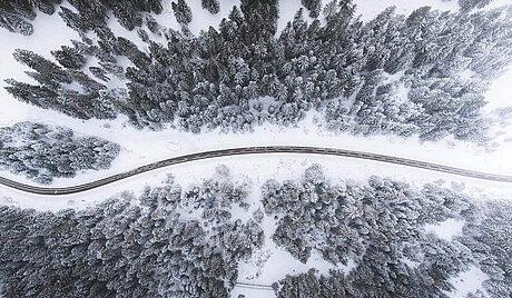 Bird eye’s view!, by Kimon Maritz